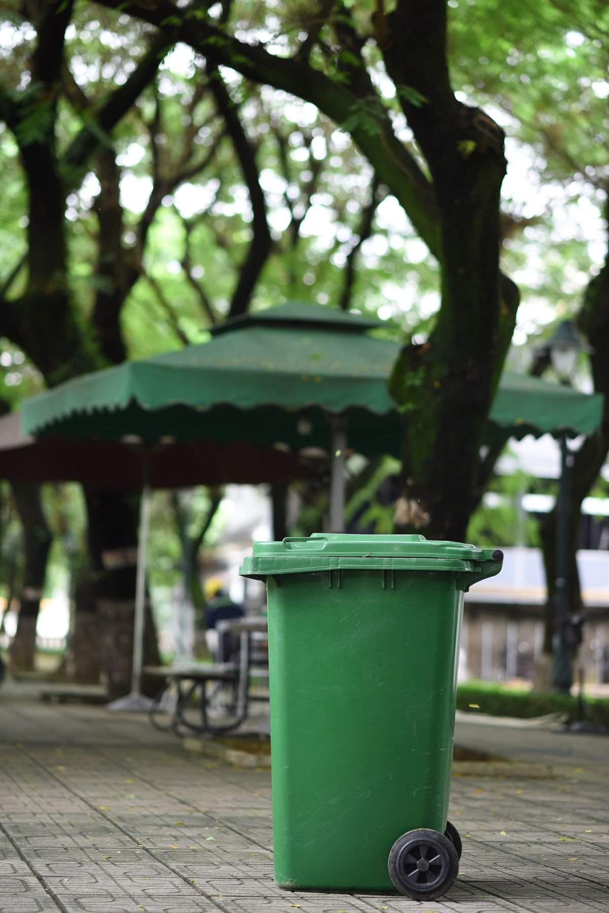 Clean green wheelie bin outdoors